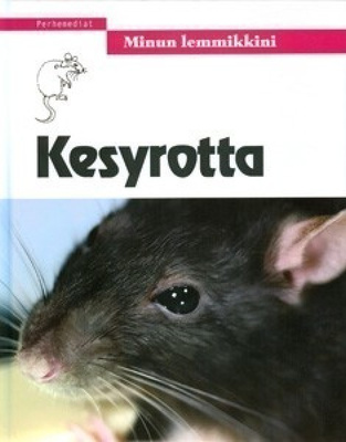 Kesyrotta, uusi, sis. pk