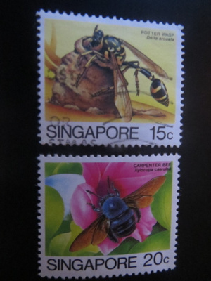 Singapore 1985: hyönteisiä