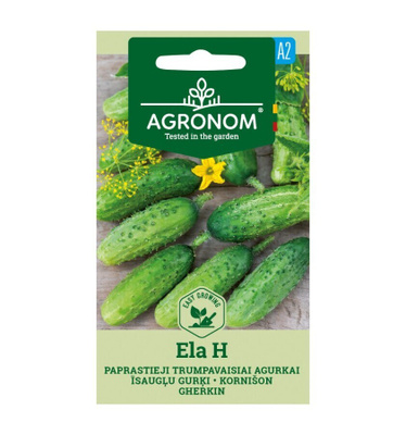 Kurkku "ELA H" - siemenet #