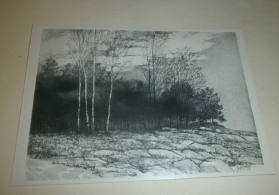 Aune Mikkonen: Rantamaisema 1982 (akvatinta), ei p.