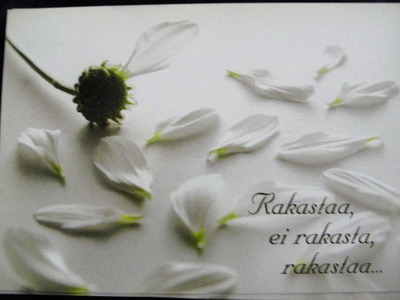 NO 293 - rakastaa, ei rakasta