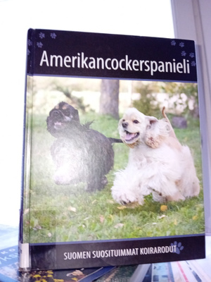 Amerikancockerspanieli  (Suomen suosituimmat koirarodut)