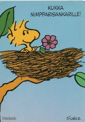 Tenavat : Kukka nimpparisankarille!