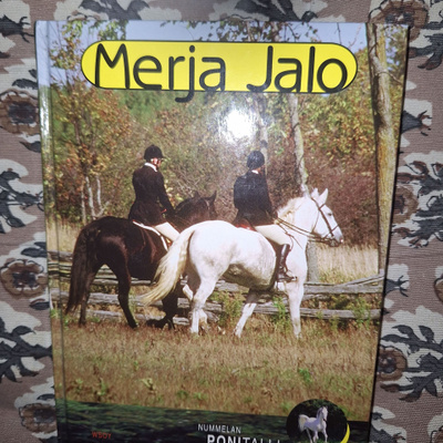 Merja Jalo Epäilyttävä sulhasmies 1p
