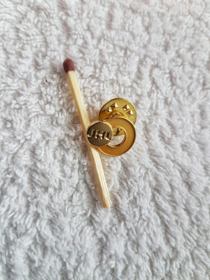 JHL Pinssi