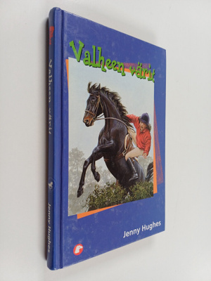Jenny Hughes : Valheen värit