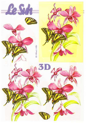 3D "PINKIT KUKAT & PERHONEN"