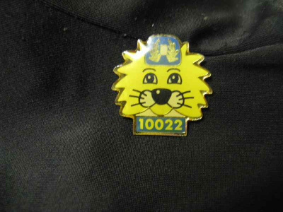 Poliisi - 10022