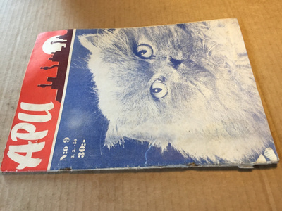 APU LEHTI 9/1956