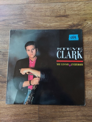 Steve Clark - You Can Say To Everybody