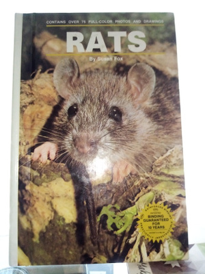 Susan Fox :  Rats ( SIS POSTIKULU)