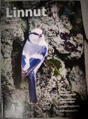 LINNUT - lehti 1/2016 BirdLife