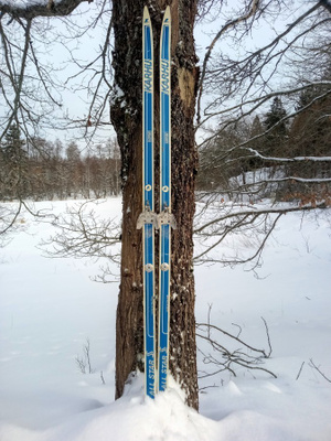 Karhu All Stars sukset 190cm