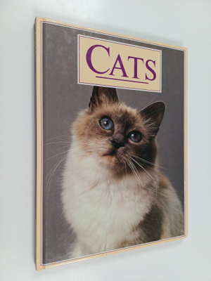 Anna Pollard : Cats