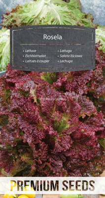 Lehtisalaatti "Rosela" - siemenet #