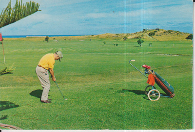 Golf,  Apollo Bay, Victoria      e20