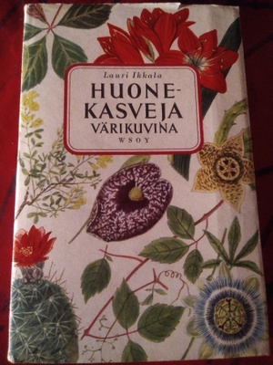 HUONEKASVEJA VÄRIKUVINA : LAURI IKKALA