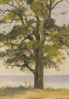Eero Järnefelt: Puu rannalla