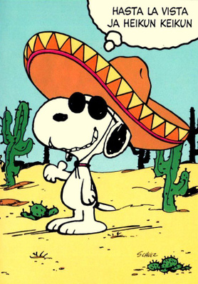 SCHULZ, Hasta la vista ja heikun keikun, käyttämätön