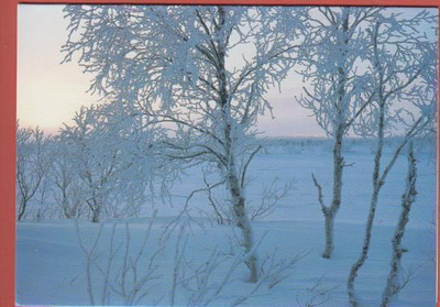 Suomen Luonnonsuojeluliitto Illanhämy Kopperapalolla tk