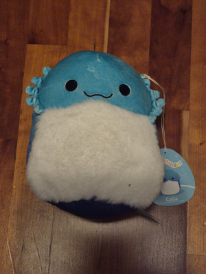 Squishmallows pehmo Cella (dinosaurus) h=19cm (#3231)