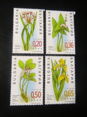 Bulgaria 2003: kasveja