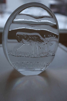 Iittala "PORO" lasikortti / lasipaino