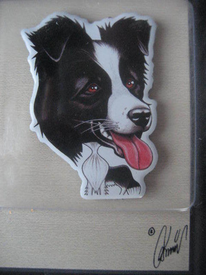 BORDERCOLLIE KOIRA JÄÄKAAPPIMAGNEETTI