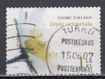 2006 Lape 1807 Lapinvuokko - Kaunisleima