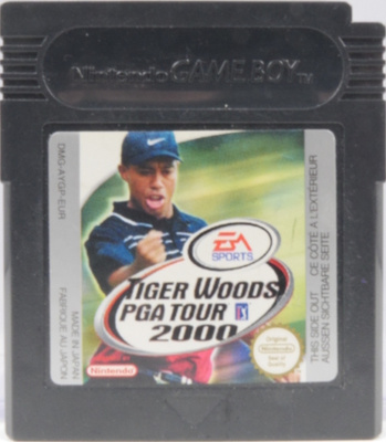 Tiger Woods PGA Tour 2000