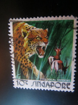 Singapore: tiikeri