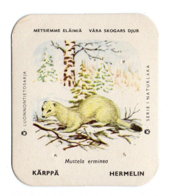 Kahvilappu KÄRPPÄ Isompi kuvakoko.