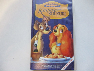 VHS KAUNOTAR JA KULKURI