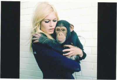 BRIGITTE BARDOT - valokuva
