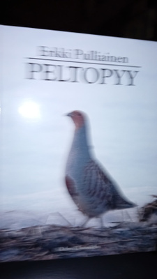 Pulliainen : Peltopyy ( SIS POSTIKULU )