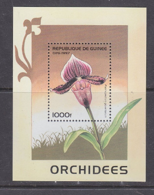 Guinee orkidea blokki.