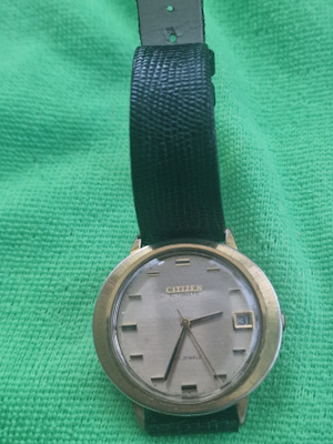CITIZEN AUTOMATIC 24 PARAWATER