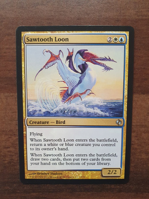Magic the Gathering Sawtooth Loon