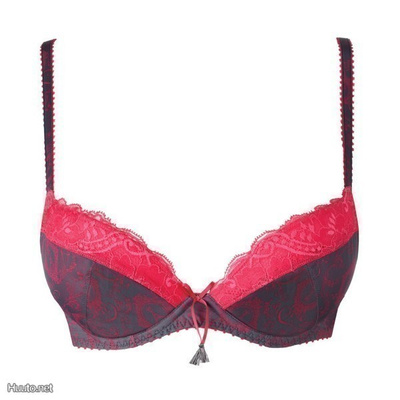Aubade Idylle Parisienne push-up rintaliivit