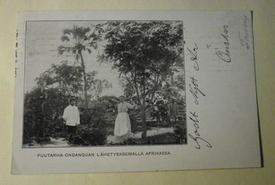 Puutarha Ondangan lähetysasemalla Afrikassa, mv pk, p. 1909