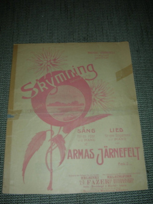 Nuotti Järnefelt: Skymning