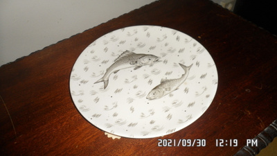 KAUNIS HARV.  KALA AIHEINEN, JOHNSON BROS KÄSINMAAL. 25 CM