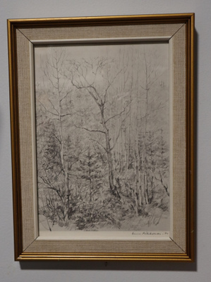 Aune Mikkonen v. 1974