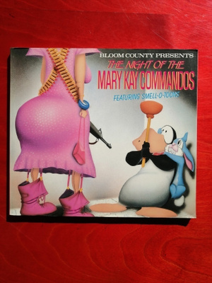 The night of the Mary Kay commandos