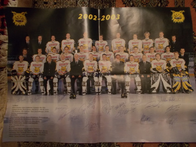 ILVES