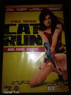 Cat run