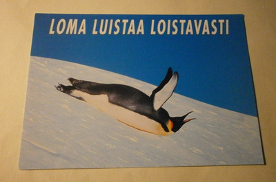 Pingviini laskee mäkeä - loma luistaa loistavasti, ei p.