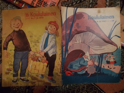 KOULULAINEN