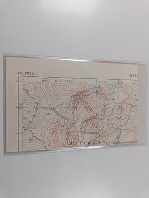 Topografinen kartta 1:20 000, N:o 3913 01 : Ailigas