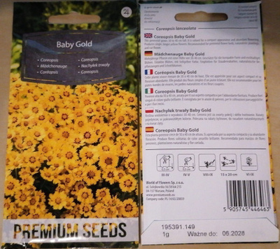 Aurinkokaunosilmä 'Baby Gold' - siemenet #